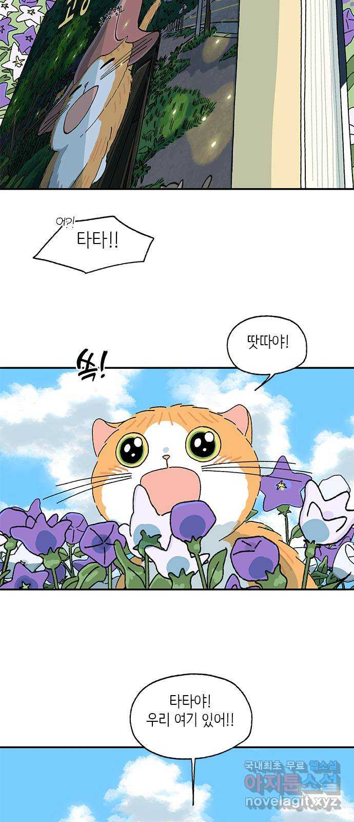 고양이 타타 마지막화 - 웹툰 이미지 32