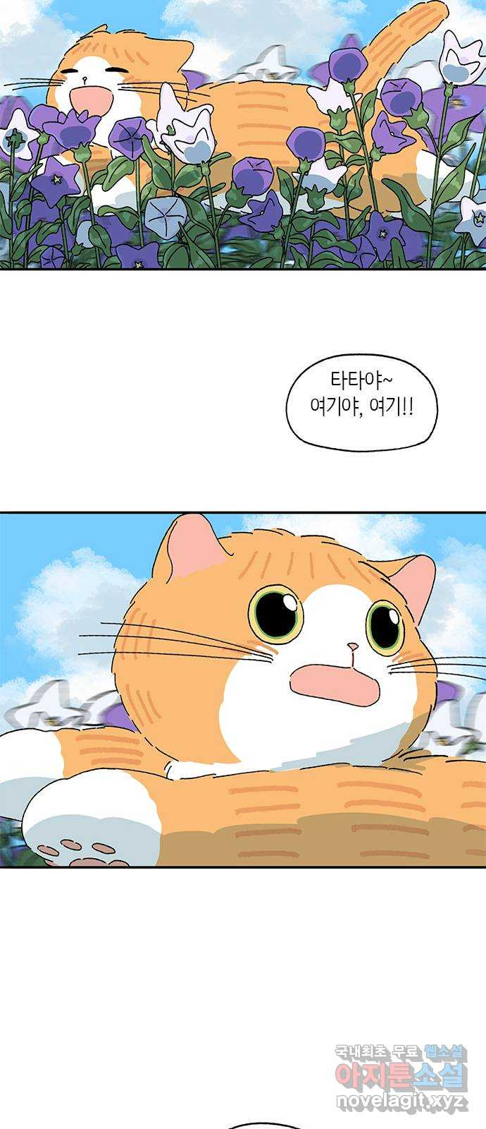 고양이 타타 마지막화 - 웹툰 이미지 34