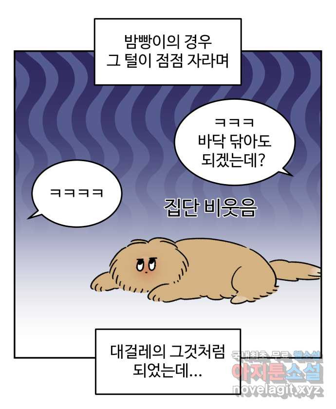 강아지는 멍멍하고 짖지 않아! 43화 - 배냇 미용 - 웹툰 이미지 3