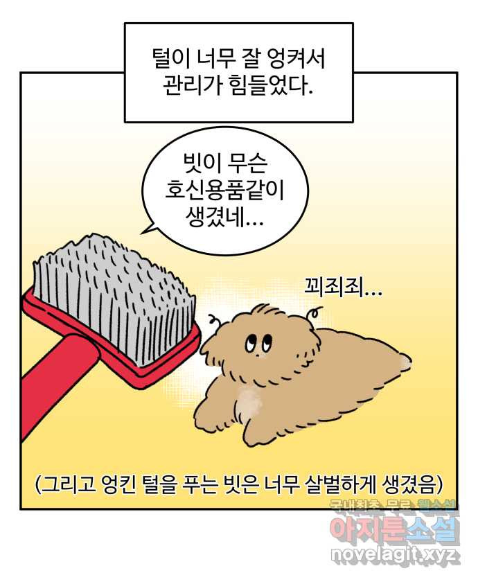 강아지는 멍멍하고 짖지 않아! 43화 - 배냇 미용 - 웹툰 이미지 4