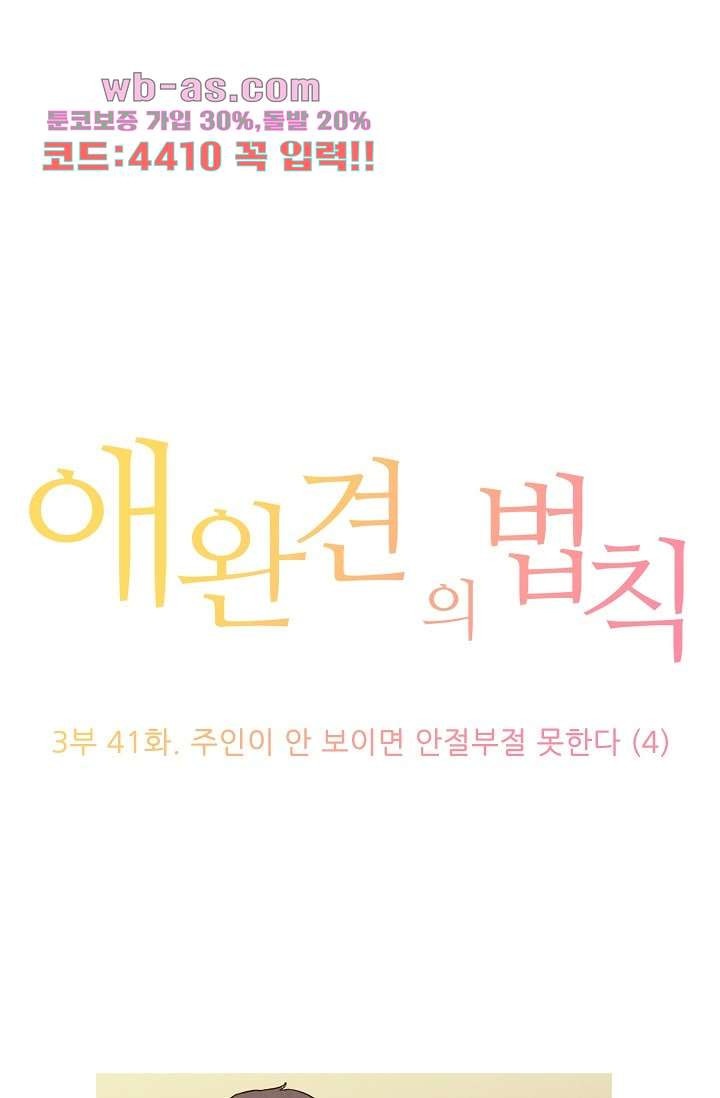 애완견의 법칙 3부 41화 - 웹툰 이미지 1