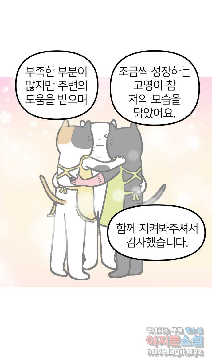 애옹식당 후기 - 웹툰 이미지 9