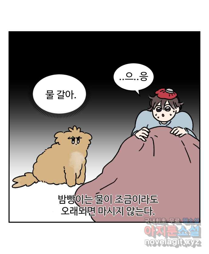 강아지는 멍멍하고 짖지 않아! 45화 - 사람도 관심이 필요해! - 웹툰 이미지 9