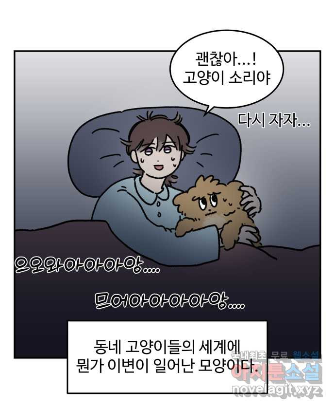 강아지는 멍멍하고 짖지 않아! 46화 - 안녕, 고양이 사천왕 - 웹툰 이미지 4