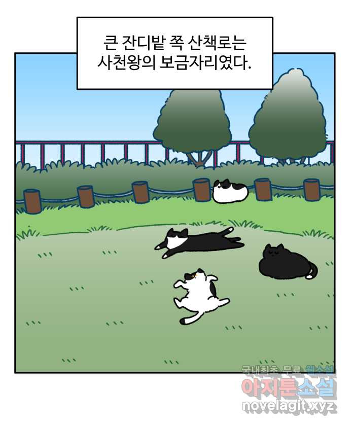 강아지는 멍멍하고 짖지 않아! 46화 - 안녕, 고양이 사천왕 - 웹툰 이미지 6