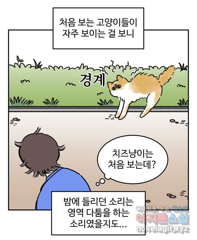 강아지는 멍멍하고 짖지 않아! 46화 - 안녕, 고양이 사천왕 - 웹툰 이미지 9