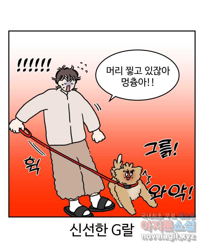 강아지는 멍멍하고 짖지 않아! 46화 - 안녕, 고양이 사천왕 - 웹툰 이미지 13