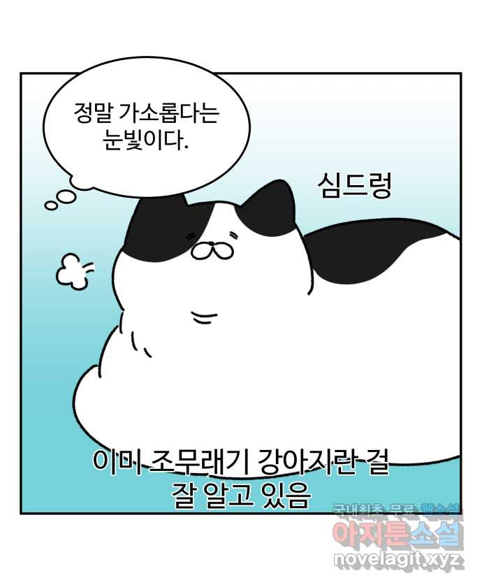 강아지는 멍멍하고 짖지 않아! 46화 - 안녕, 고양이 사천왕 - 웹툰 이미지 16