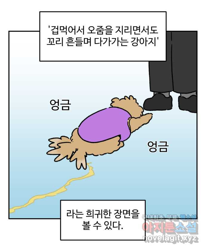 강아지는 멍멍하고 짖지 않아! 48화 - 겁쟁이 강아지 - 웹툰 이미지 15