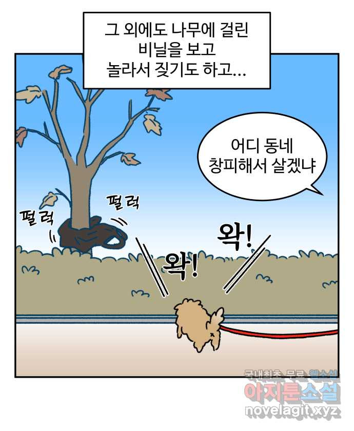 강아지는 멍멍하고 짖지 않아! 48화 - 겁쟁이 강아지 - 웹툰 이미지 16