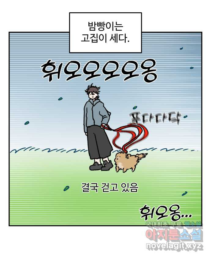 강아지는 멍멍하고 짖지 않아! 49화 - 산책 강행견 1 - 웹툰 이미지 12