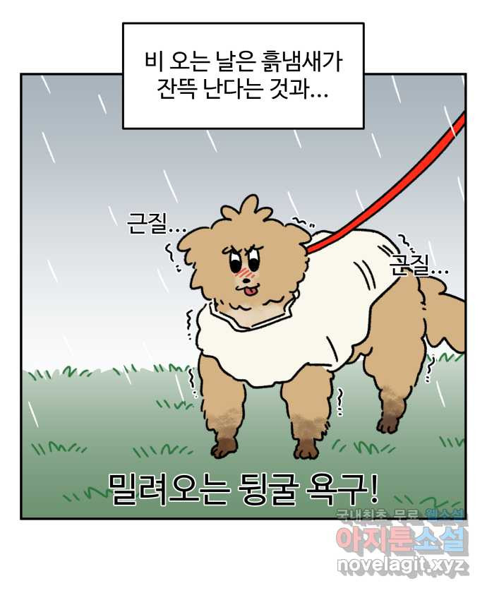 강아지는 멍멍하고 짖지 않아! 50화 - 산책 강행견 2 - 웹툰 이미지 14