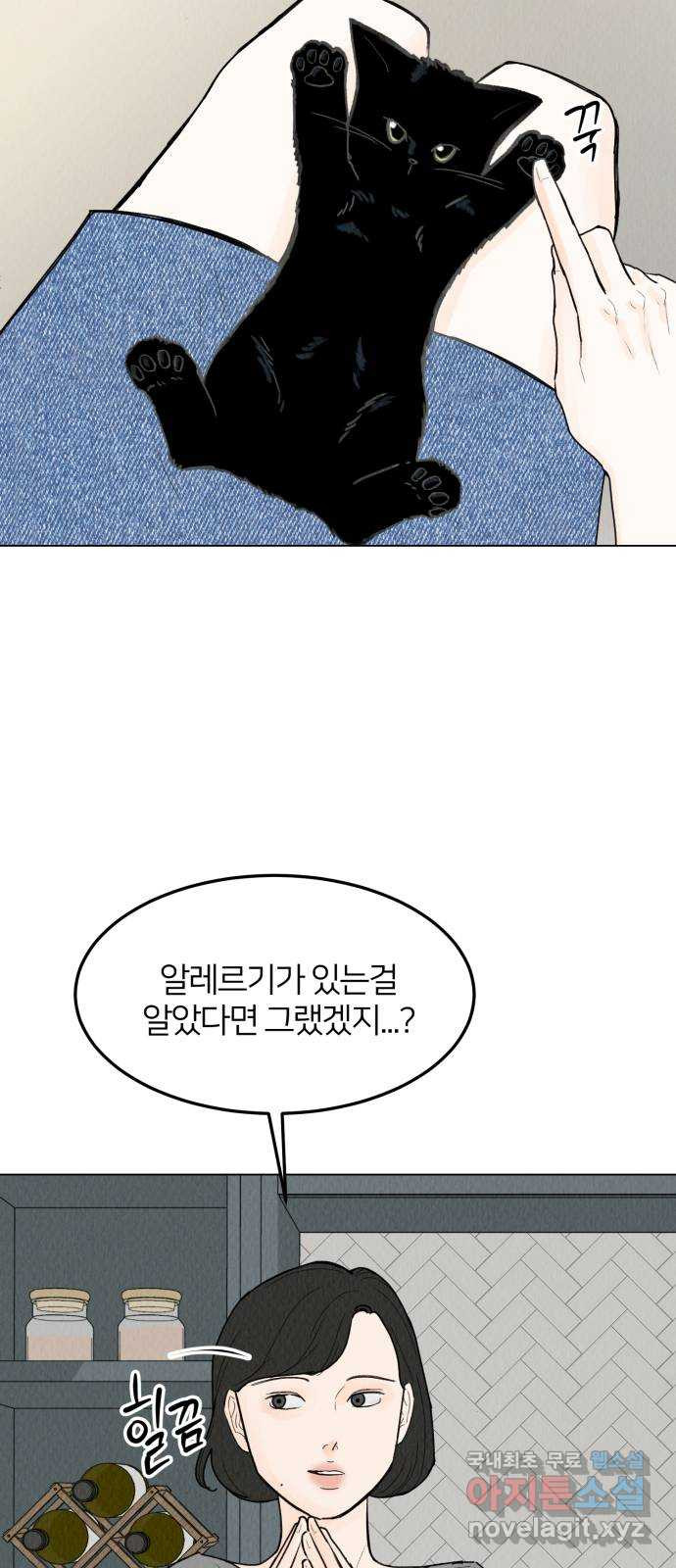 우리 집 고양이 보고 갈래? 47화 - 웹툰 이미지 26