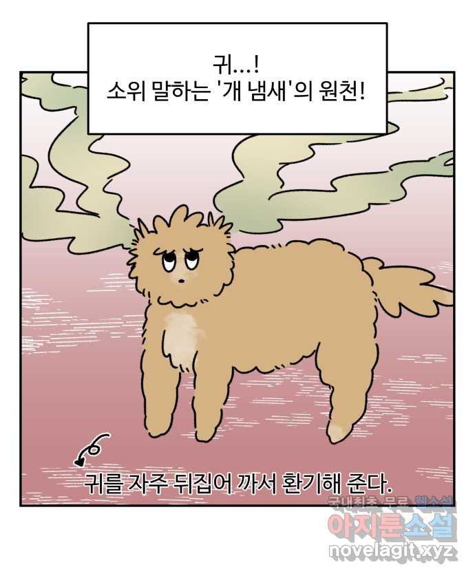 강아지는 멍멍하고 짖지 않아! 51화 - 개 냄새 관찰일지 - 웹툰 이미지 17