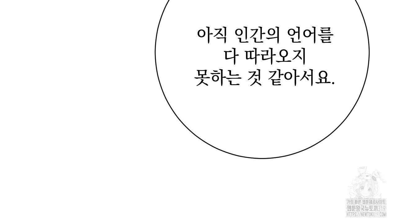 내 최애 까지 마라 45화 - 웹툰 이미지 178