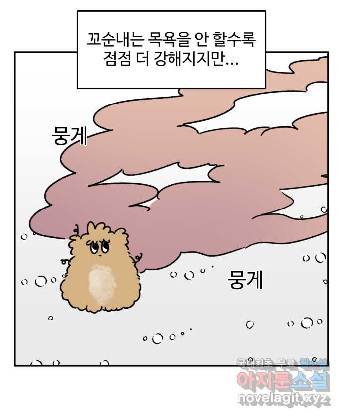 강아지는 멍멍하고 짖지 않아! 52화 - 꼬순내 관찰일지 - 웹툰 이미지 14