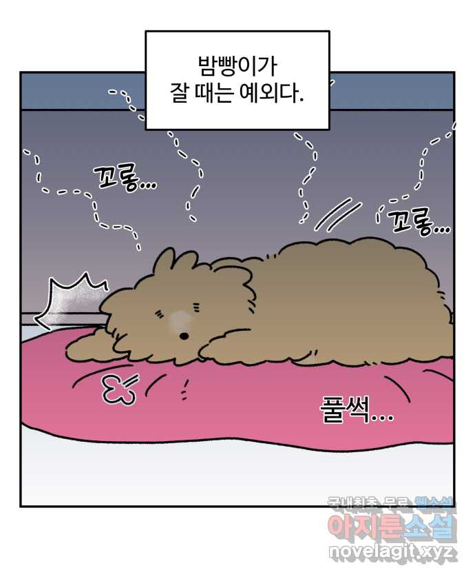 강아지는 멍멍하고 짖지 않아! 52화 - 꼬순내 관찰일지 - 웹툰 이미지 21