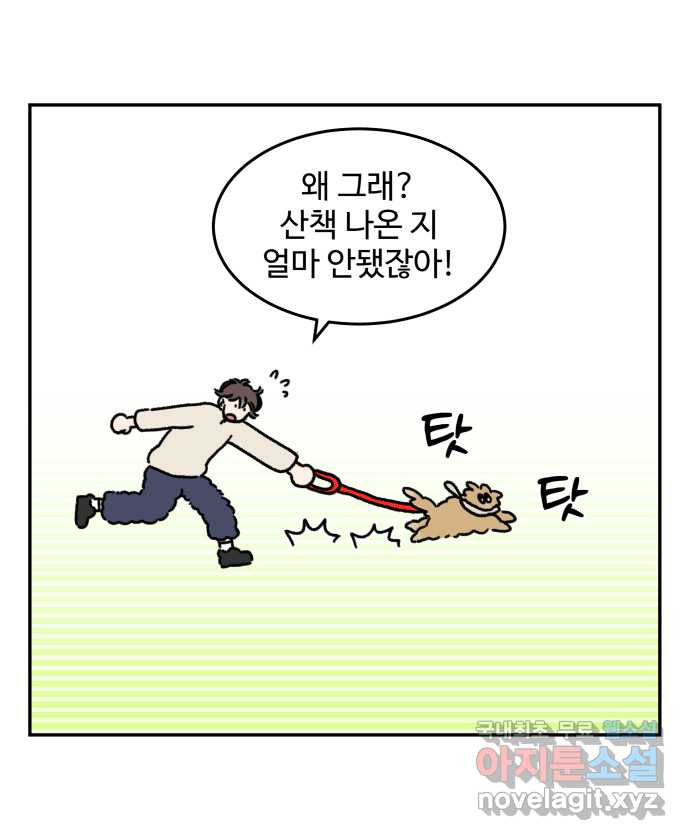 강아지는 멍멍하고 짖지 않아! 54화 - 실내 배변 강아지 - 웹툰 이미지 3