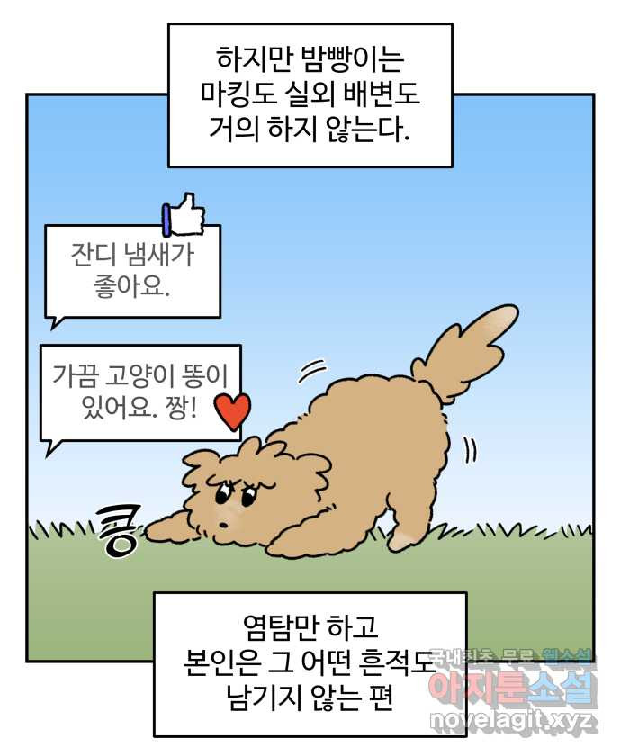 강아지는 멍멍하고 짖지 않아! 54화 - 실내 배변 강아지 - 웹툰 이미지 10