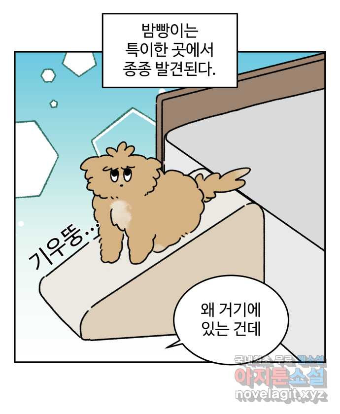 강아지는 멍멍하고 짖지 않아! 55화 -  음침한 모험가 - 웹툰 이미지 7