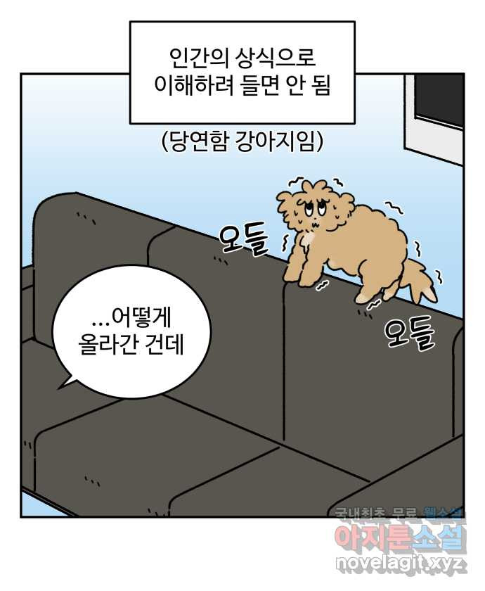 강아지는 멍멍하고 짖지 않아! 55화 -  음침한 모험가 - 웹툰 이미지 8