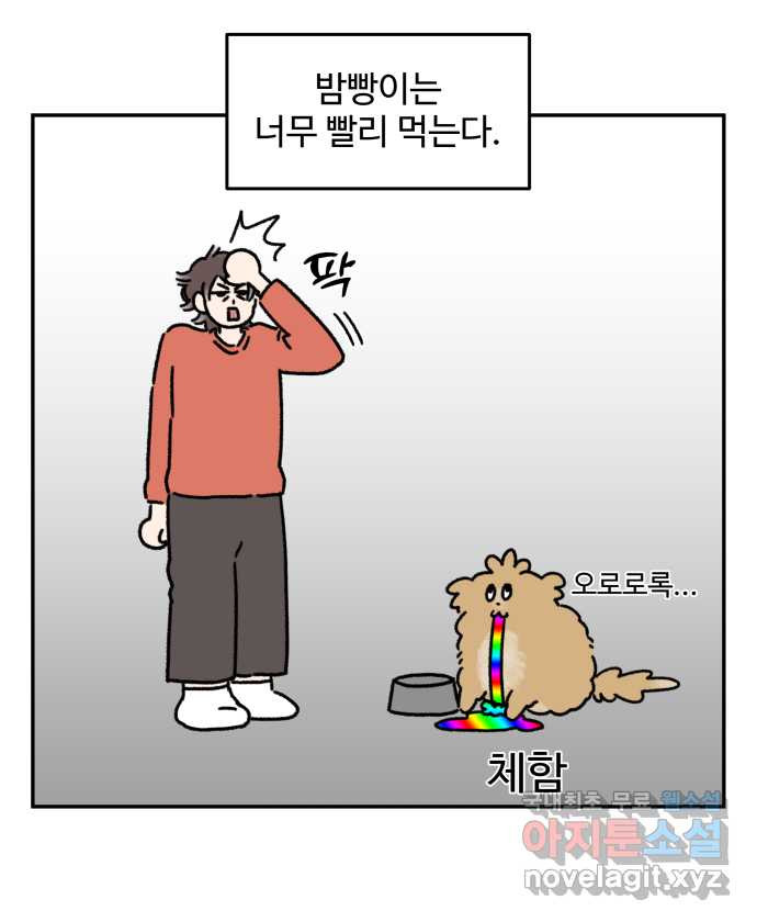 강아지는 멍멍하고 짖지 않아! 56화 -  굶긴 적 없습니다 - 웹툰 이미지 6