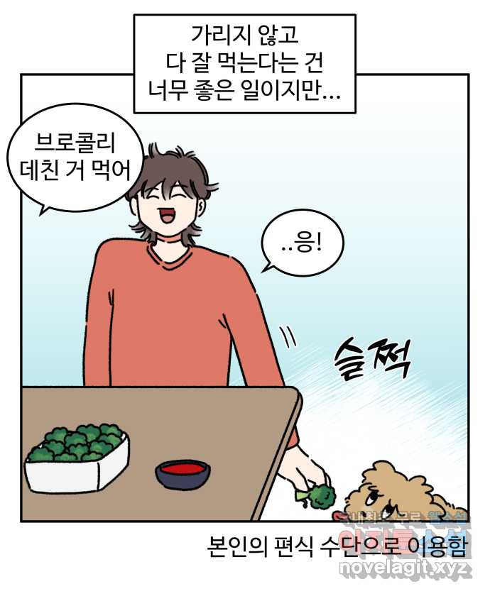 강아지는 멍멍하고 짖지 않아! 56화 -  굶긴 적 없습니다 - 웹툰 이미지 10