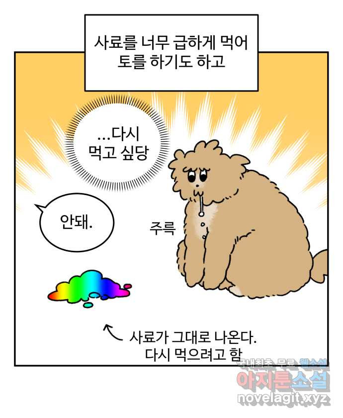 강아지는 멍멍하고 짖지 않아! 56화 -  굶긴 적 없습니다 - 웹툰 이미지 12