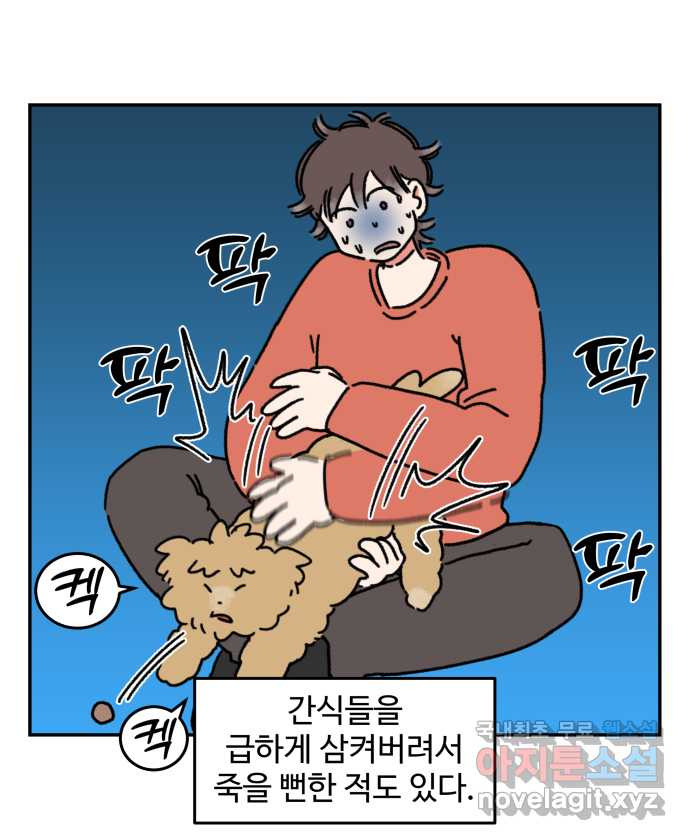 강아지는 멍멍하고 짖지 않아! 56화 -  굶긴 적 없습니다 - 웹툰 이미지 13