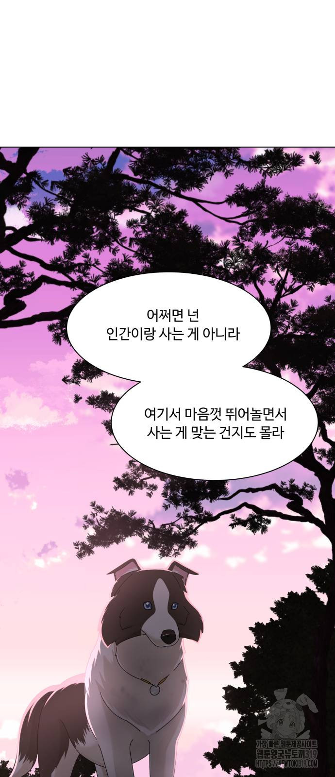 개를 낳았다 외전 10화 - 웹툰 이미지 34