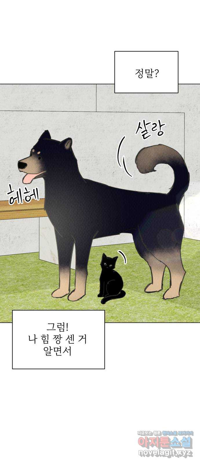 우리 집 고양이 보고 갈래? 50화 - 웹툰 이미지 24