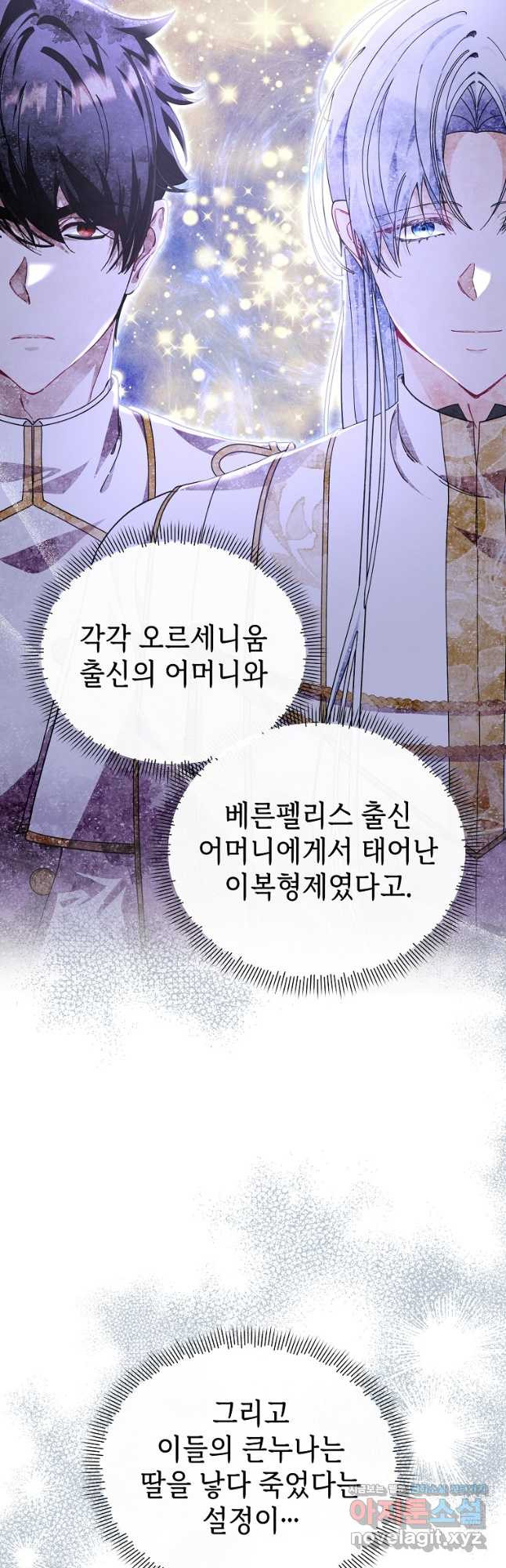 마녀의 딸이 남주의 저주를 풀면 46화 - 웹툰 이미지 11