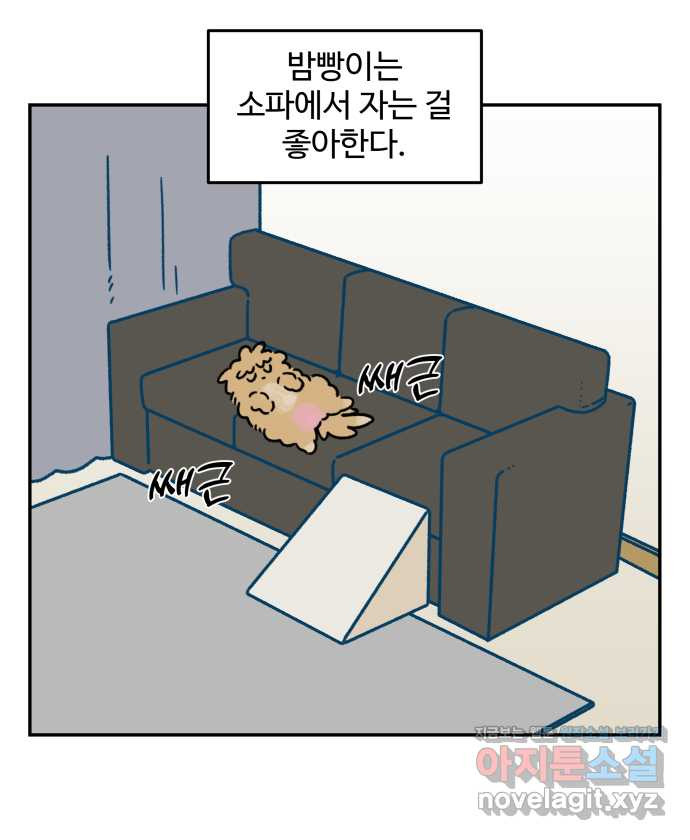 강아지는 멍멍하고 짖지 않아! 75화 - 공포의 슬개골 - 웹툰 이미지 1