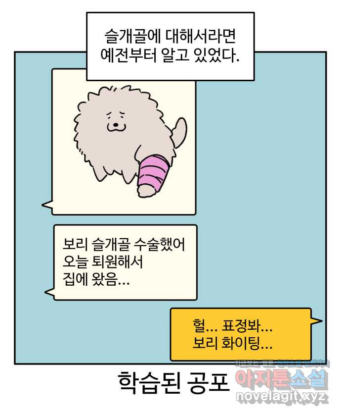 강아지는 멍멍하고 짖지 않아! 75화 - 공포의 슬개골 - 웹툰 이미지 7