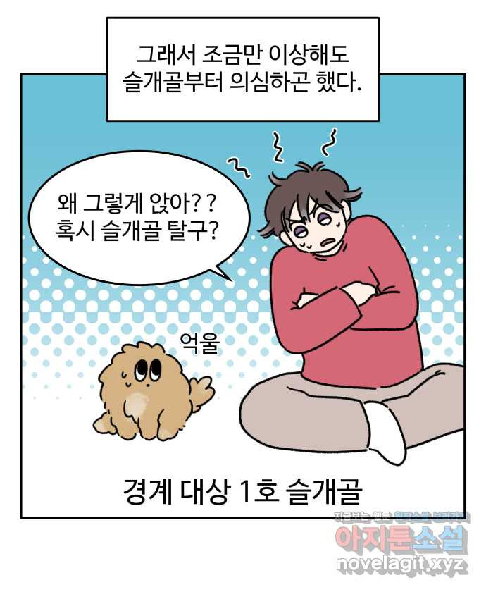 강아지는 멍멍하고 짖지 않아! 75화 - 공포의 슬개골 - 웹툰 이미지 8