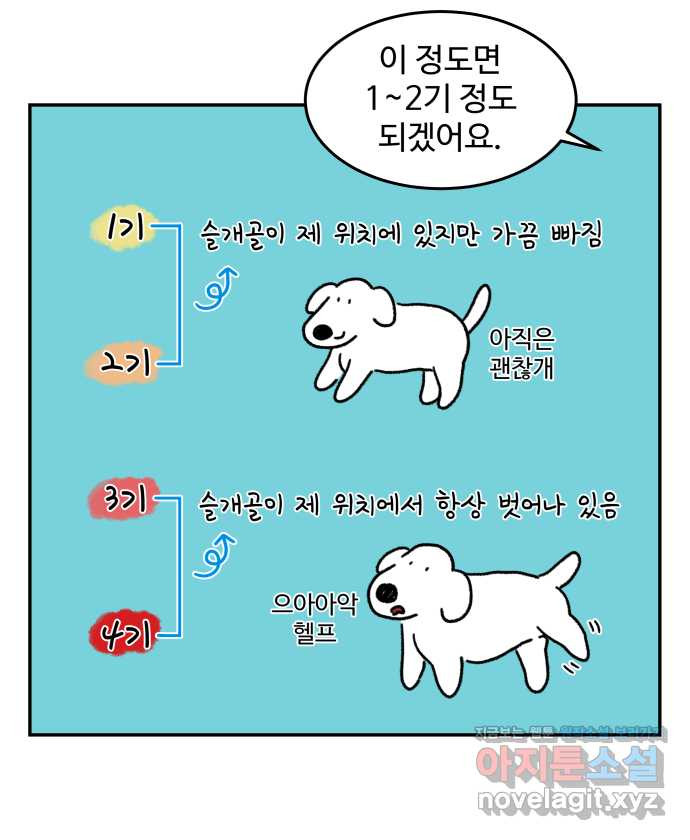 강아지는 멍멍하고 짖지 않아! 75화 - 공포의 슬개골 - 웹툰 이미지 14