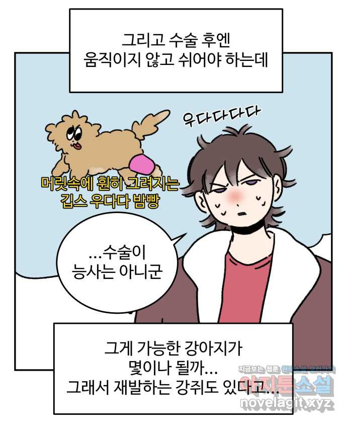 강아지는 멍멍하고 짖지 않아! 75화 - 공포의 슬개골 - 웹툰 이미지 17