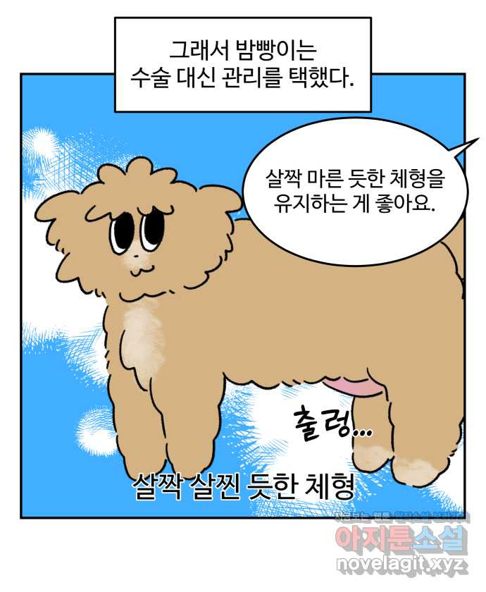 강아지는 멍멍하고 짖지 않아! 75화 - 공포의 슬개골 - 웹툰 이미지 18