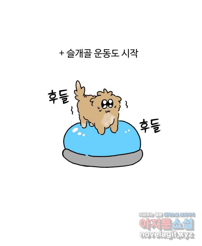 강아지는 멍멍하고 짖지 않아! 75화 - 공포의 슬개골 - 웹툰 이미지 22