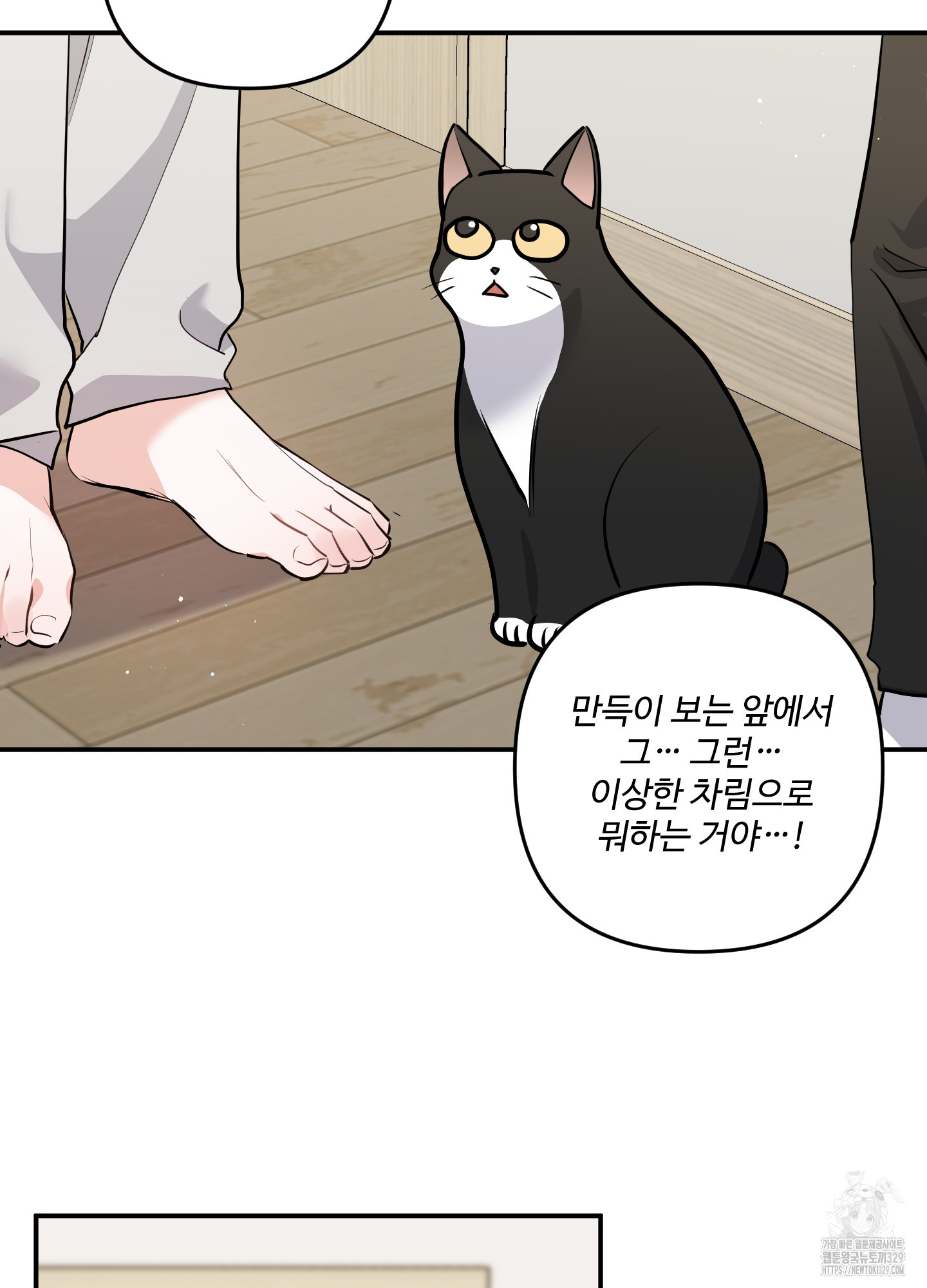 그 고양이 말고 이 고양이 5화 - 웹툰 이미지 30