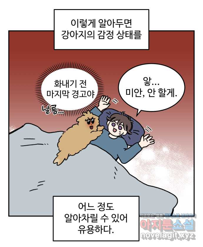 강아지는 멍멍하고 짖지 않아! 76화 - 강아지의 언어 - 웹툰 이미지 9