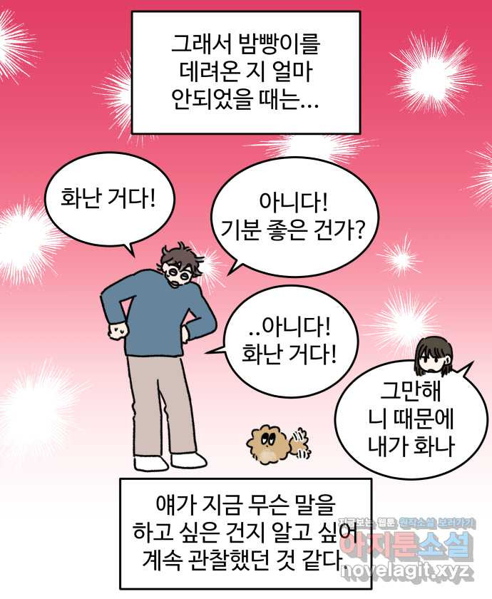 강아지는 멍멍하고 짖지 않아! 76화 - 강아지의 언어 - 웹툰 이미지 19