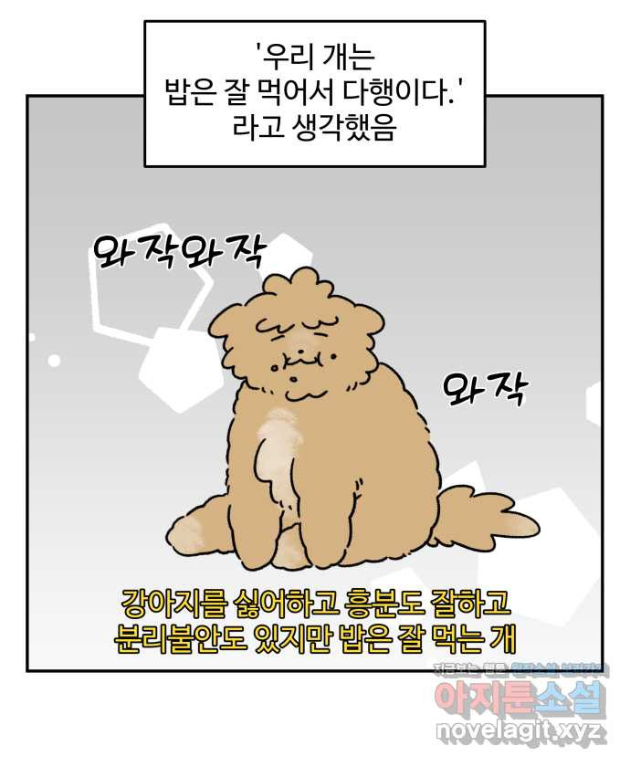 강아지는 멍멍하고 짖지 않아! 77화 - 편식 강아지 1 - 웹툰 이미지 4