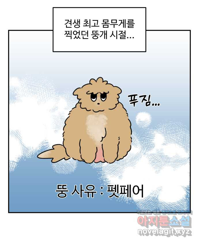 강아지는 멍멍하고 짖지 않아! 77화 - 편식 강아지 1 - 웹툰 이미지 8