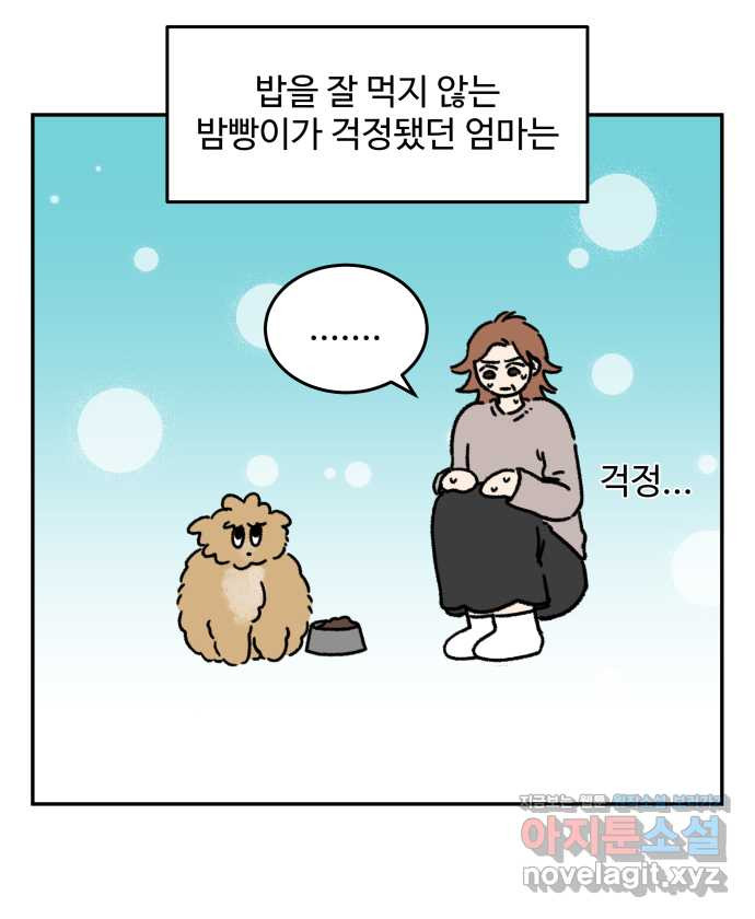 강아지는 멍멍하고 짖지 않아! 77화 - 편식 강아지 1 - 웹툰 이미지 12