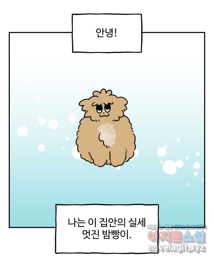 강아지는 멍멍하고 짖지 않아! 79화 - ㅇㅏㄴ녕! - 웹툰 이미지 8