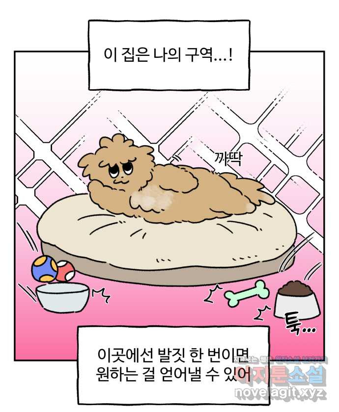 강아지는 멍멍하고 짖지 않아! 79화 - ㅇㅏㄴ녕! - 웹툰 이미지 9