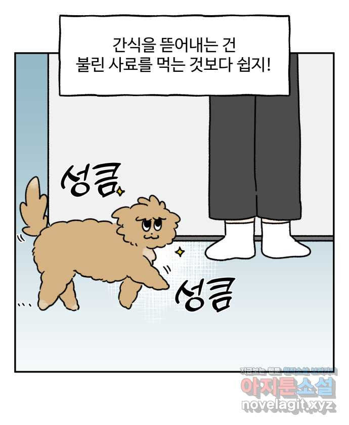 강아지는 멍멍하고 짖지 않아! 79화 - ㅇㅏㄴ녕! - 웹툰 이미지 11