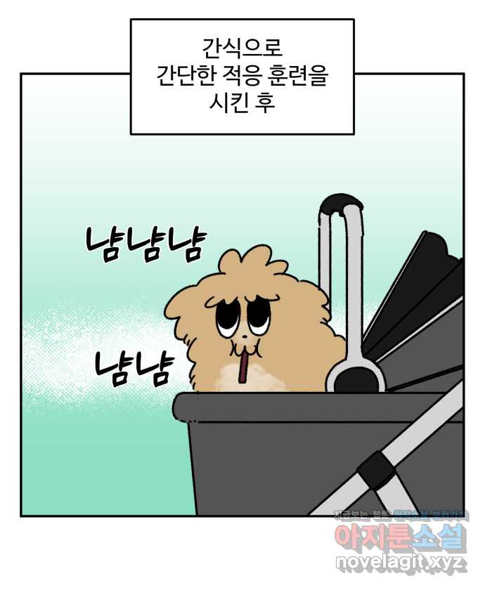 강아지는 멍멍하고 짖지 않아! 80화 - 강아지 유모차 - 웹툰 이미지 9