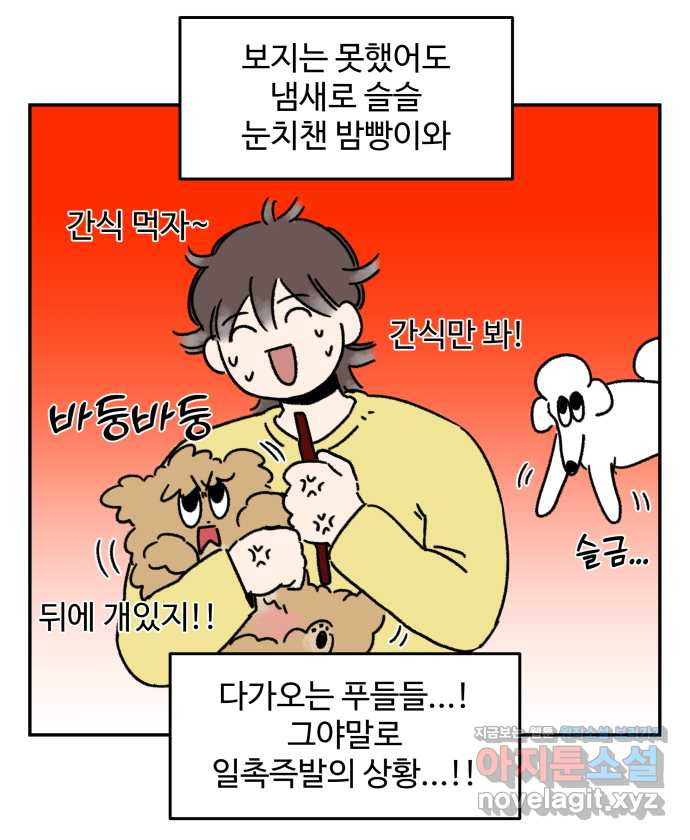 강아지는 멍멍하고 짖지 않아! 81화 - 봄소풍을 가자 - 웹툰 이미지 18